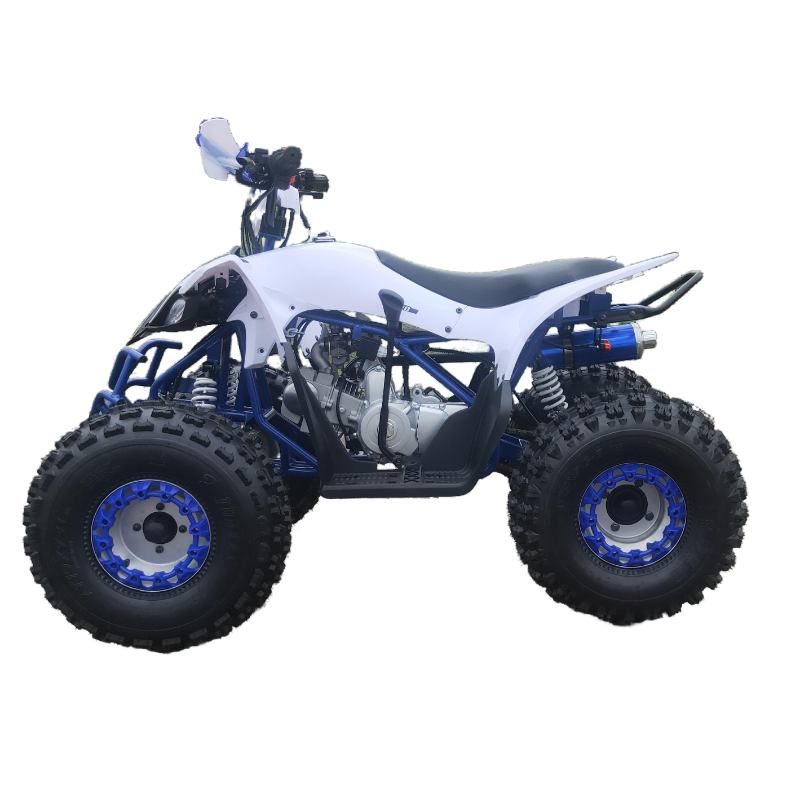 High quality 125cc 4x2 ATV for adults for kids four wheeler atv for sale FL-125ZY